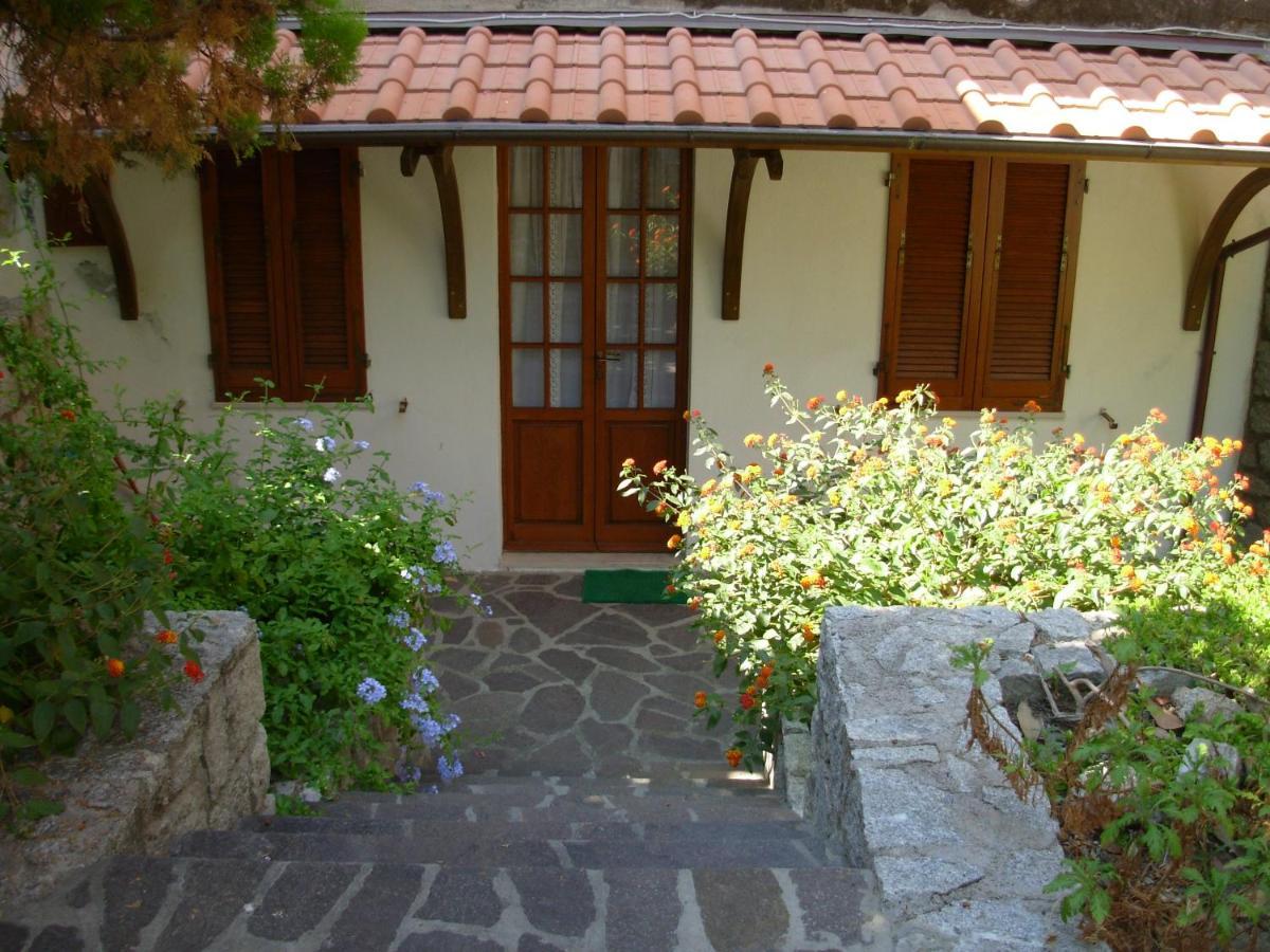 Appartamento Il Nespolo Pomonte Exterior foto