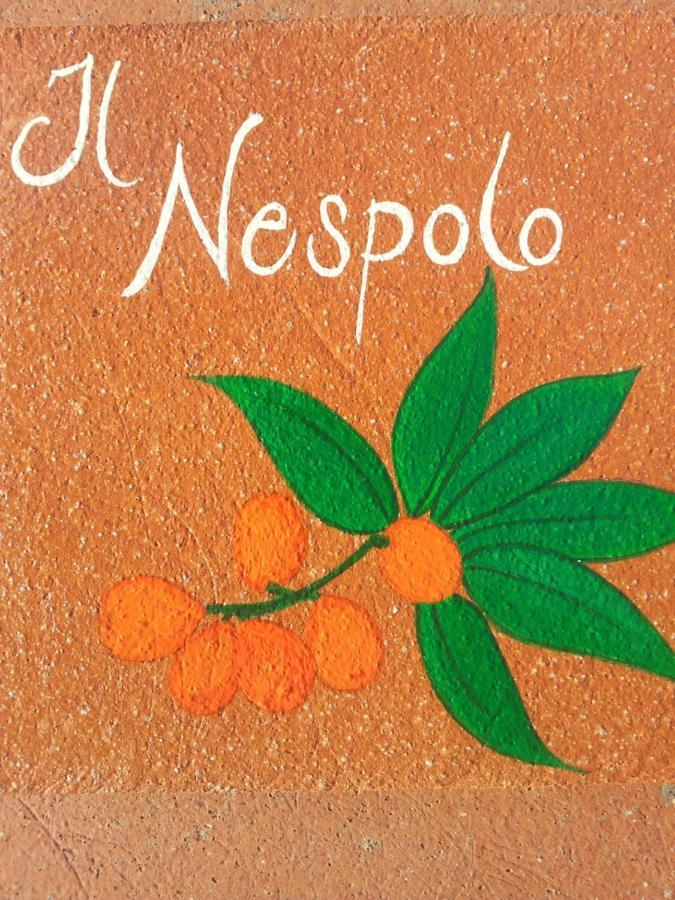 Appartamento Il Nespolo Pomonte Exterior foto