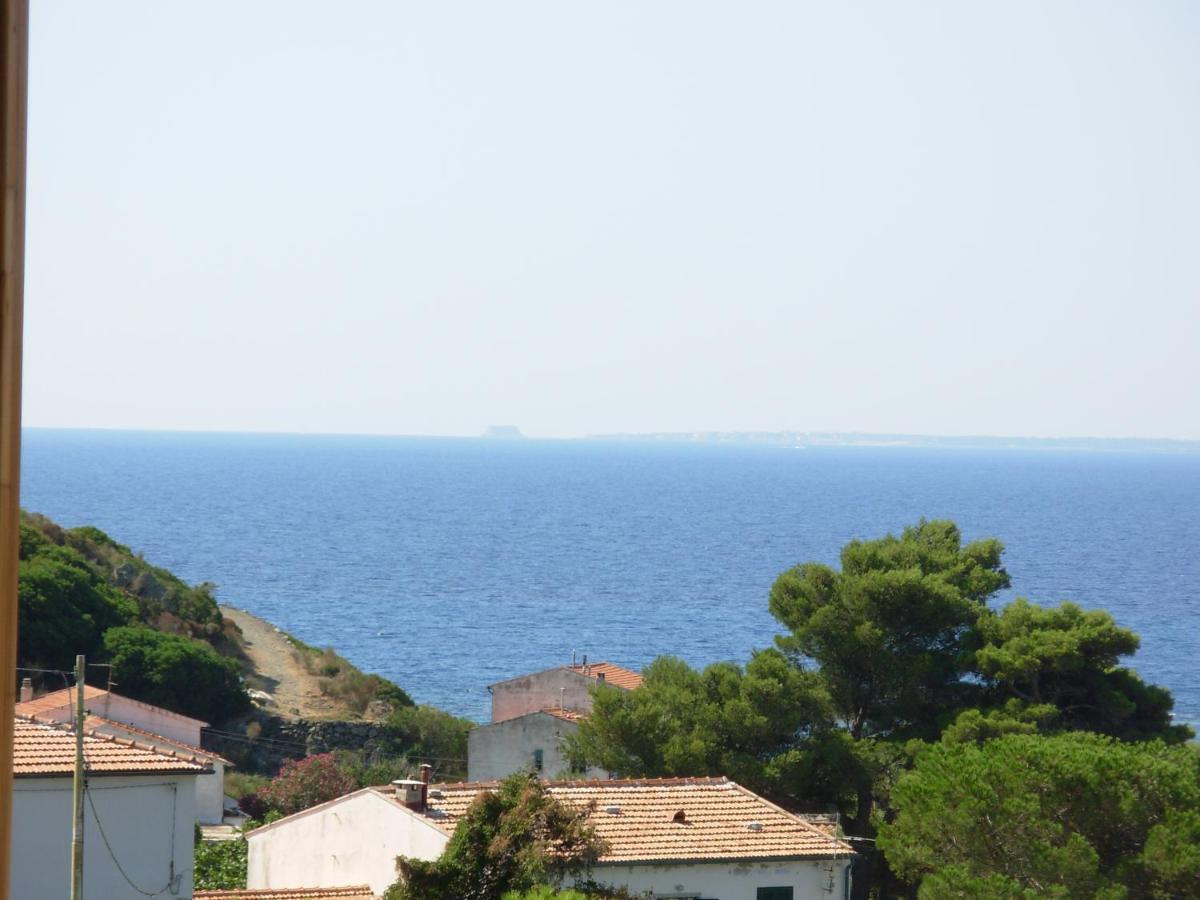 Appartamento Il Nespolo Pomonte Exterior foto